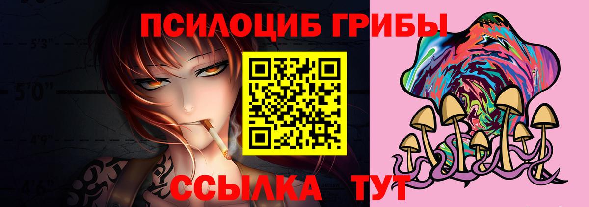 Галлюциногенные грибы Psilocybe  Галлюциногенные грибы Psilocybine cubensis  Вход с VPN  Туймазы 